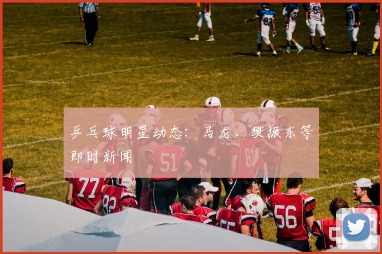 乒乓球明星动态：马龙、樊振东等即时新闻