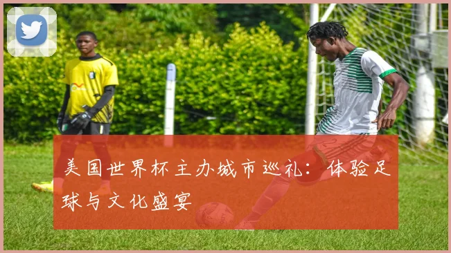 美国世界杯主办城市巡礼:体验足球与文化盛宴