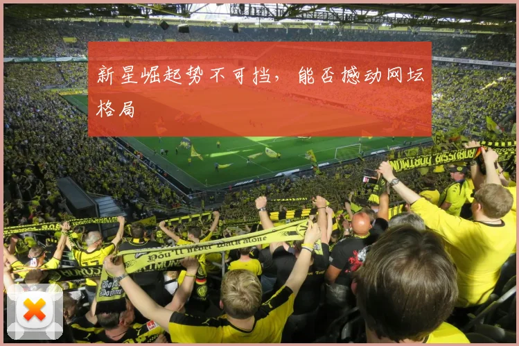 新星崛起势不可挡，能否撼动网坛格局