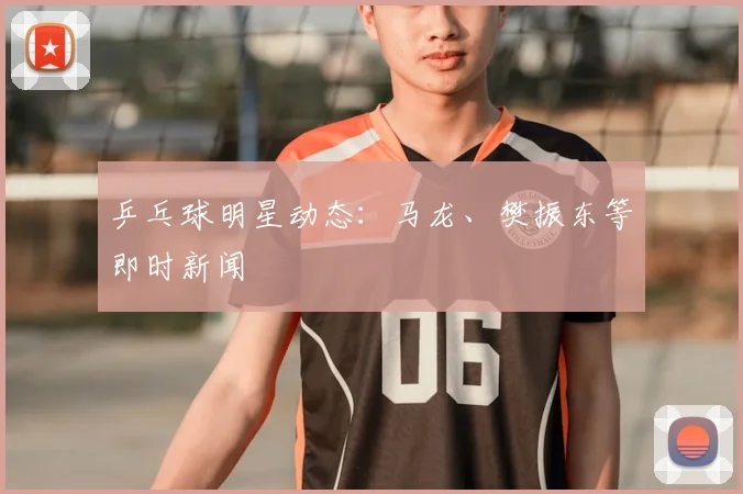 乒乓球明星动态:马龙、樊振东等即时新闻