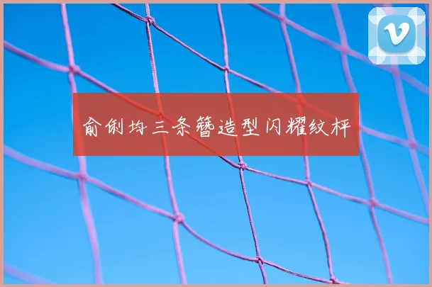 俞俐均三条簪造型闪耀纹枰